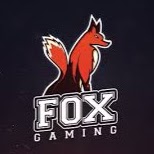 Profile picture of fox gaming