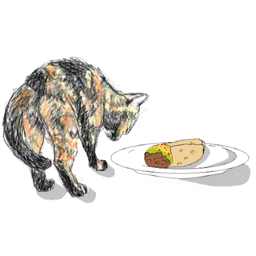 Profile picture of burrito cat