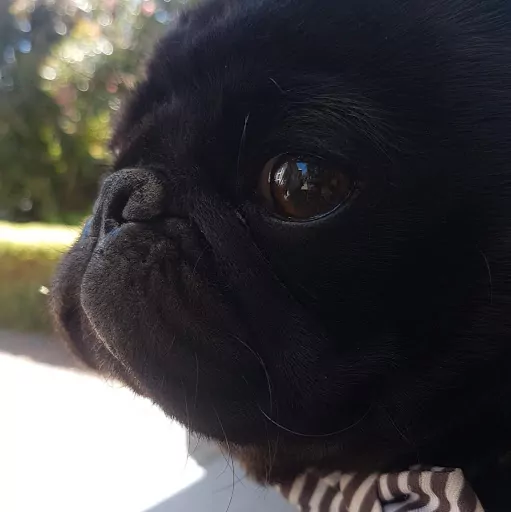 Profile picture of Maya MCLEOD