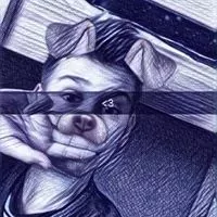 Profile picture of Karim Elgadhi