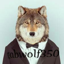 Profile picture of gabwolf350