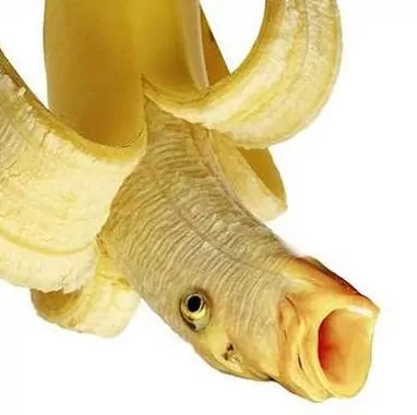 Profile picture of Coby Long