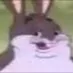 Profile picture of Peter Blum