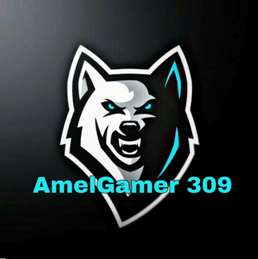 Profile picture of AmelGamer 309