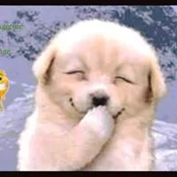 Profile picture of Cassiel Kyin Galvan