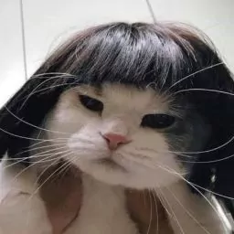Profile picture of Virginia A