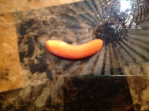 Carrot with a smile