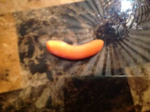 Profile picture of Carrot with a smile