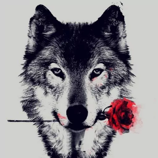 Profile picture of Juana Solis Juan