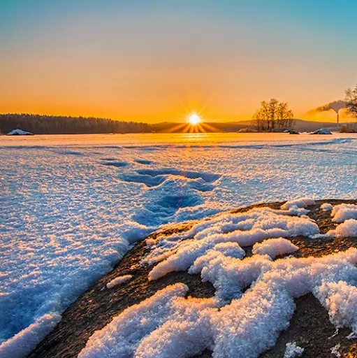 Profile picture of Salim Hasaani