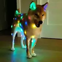 Profile picture of リュノスケ タカギ