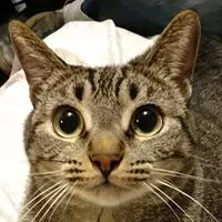 Profile picture of Rina Mk